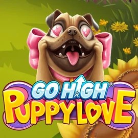 Go High Puppy Love by RubyPlay, showcased at glorioncasino.eu – game logo